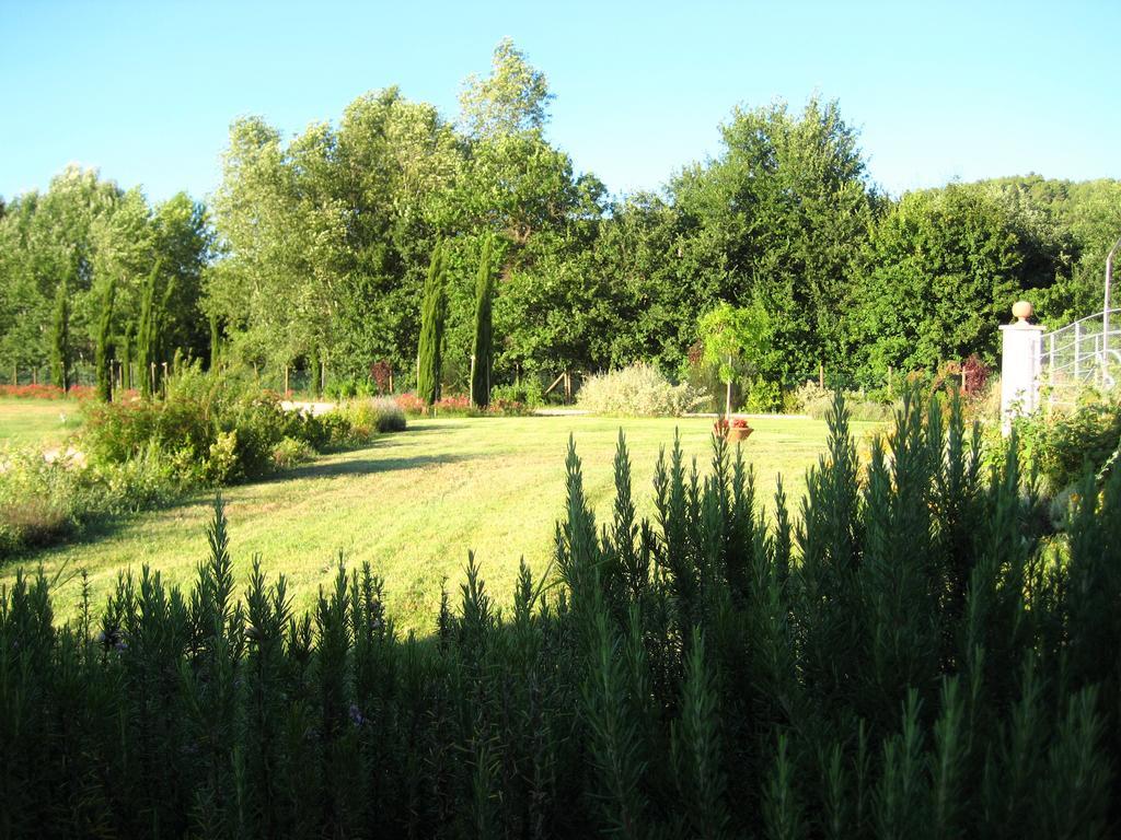 Agriturismo Il Molino Antico - 5 Girasoli Spolète Extérieur photo